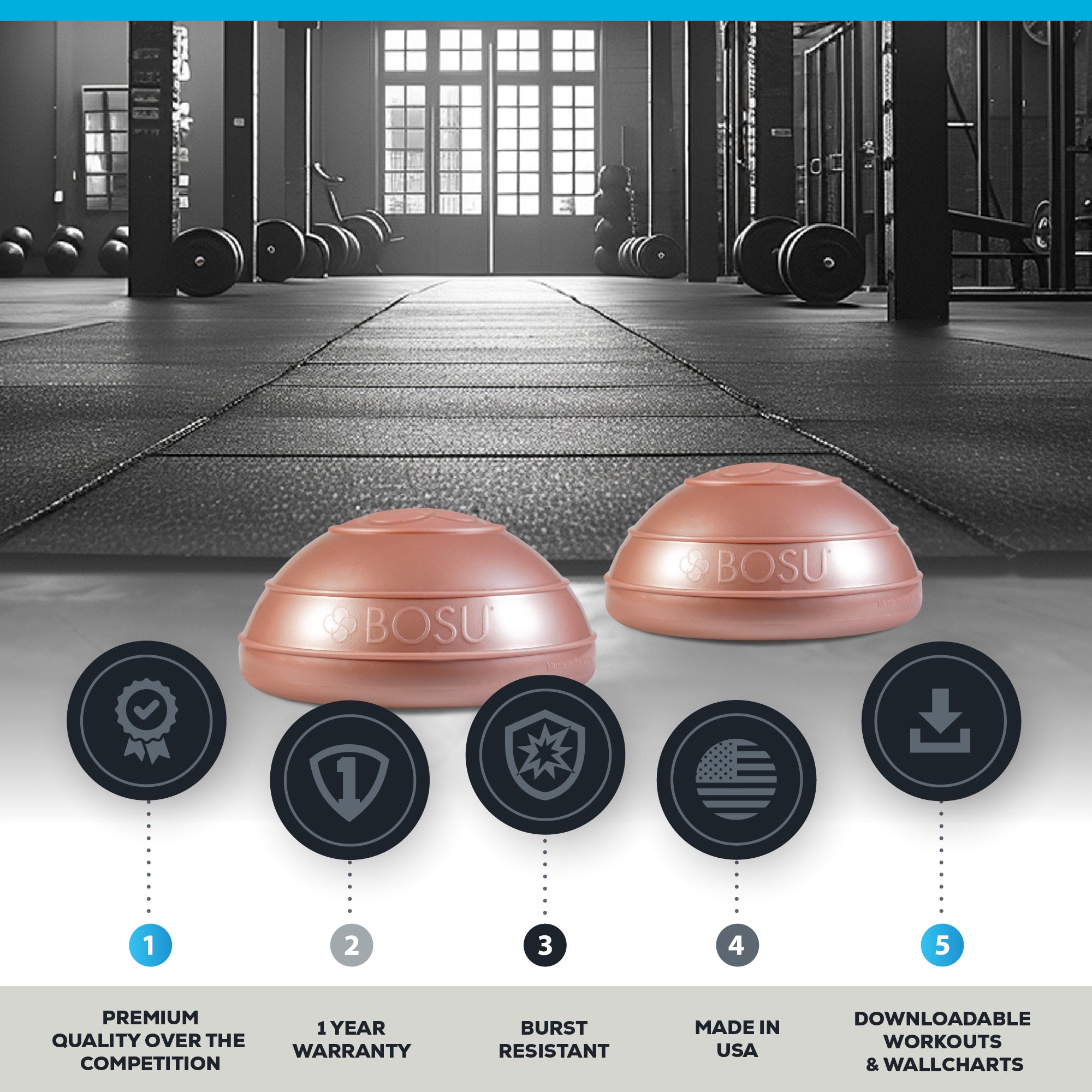BOSU® Balance Pods Rose Gold